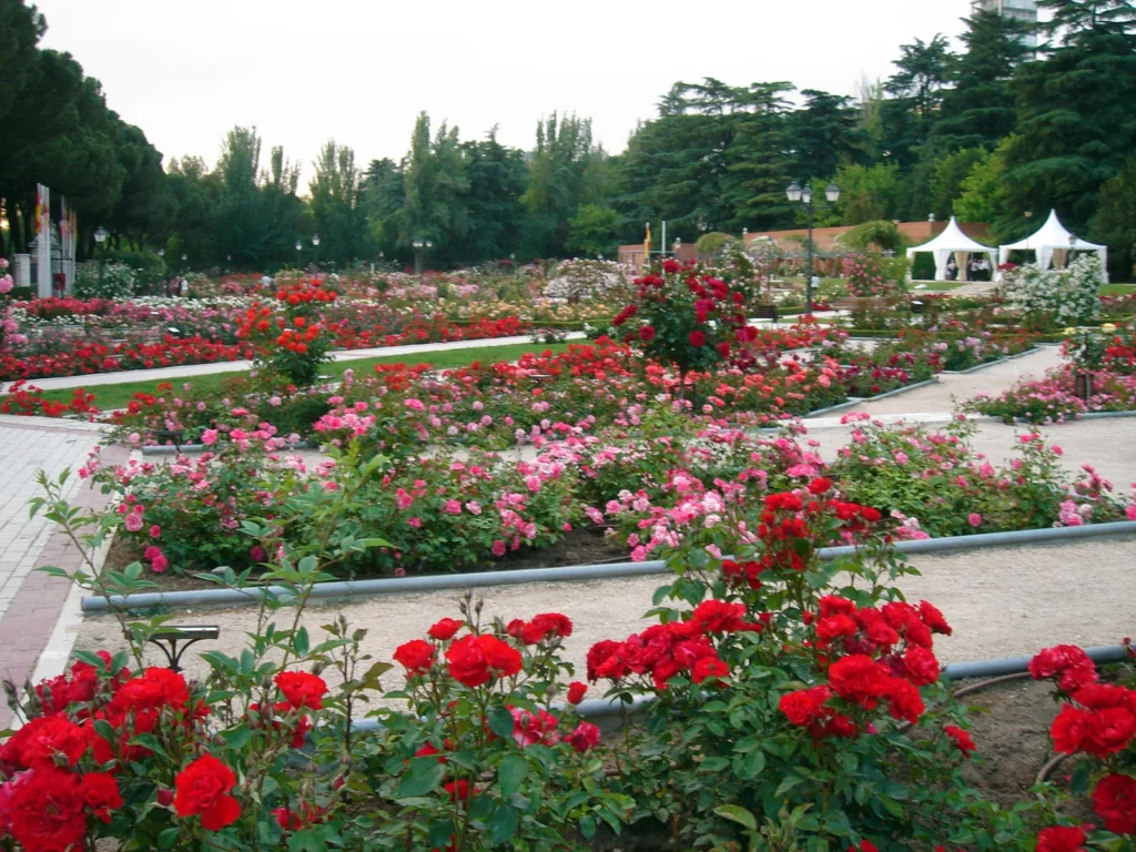paseo-romantico-parque-Rosaleda