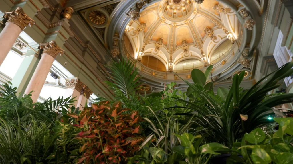 refugio-climatico -bellas-artes-madrid